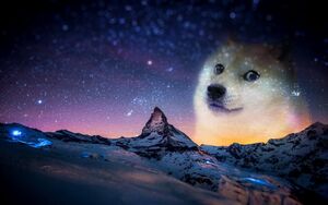 TEST Doge-Wallpaper.jpg